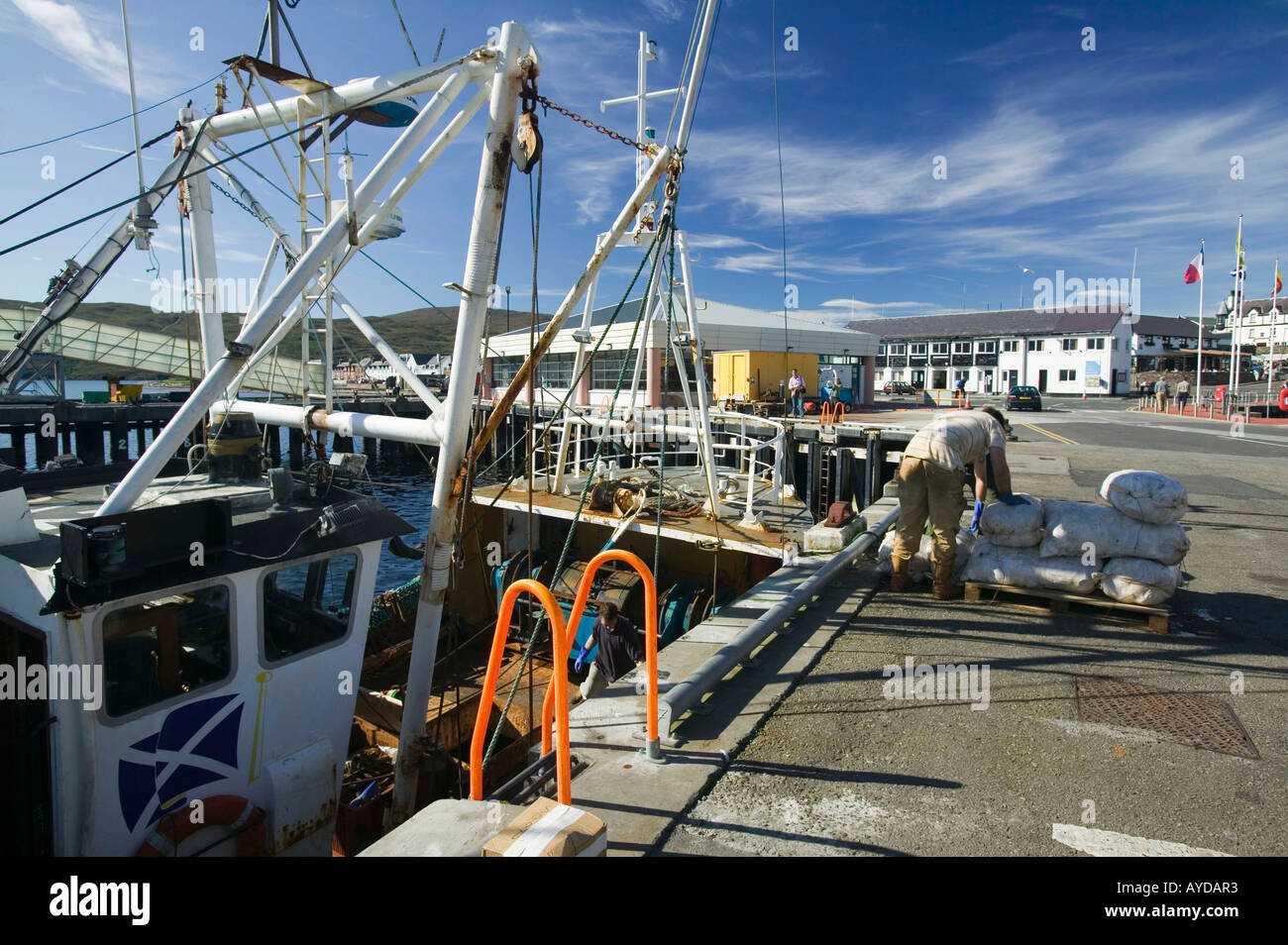 unloading Scallops on the harbour side at Ullapool, scotland, UK Stock Photo
