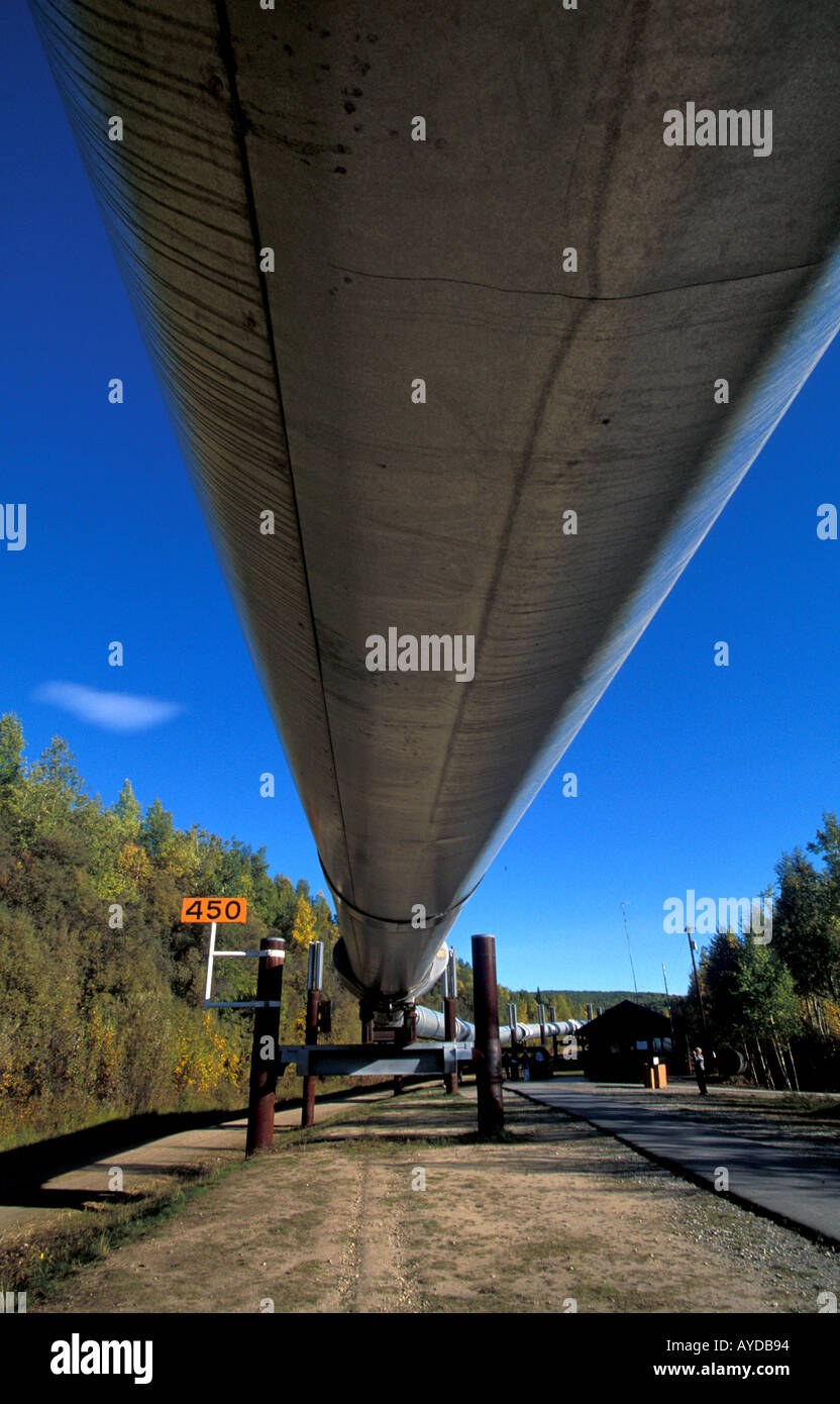 Alaska pipeline Fairbanks Stock Photo Alamy