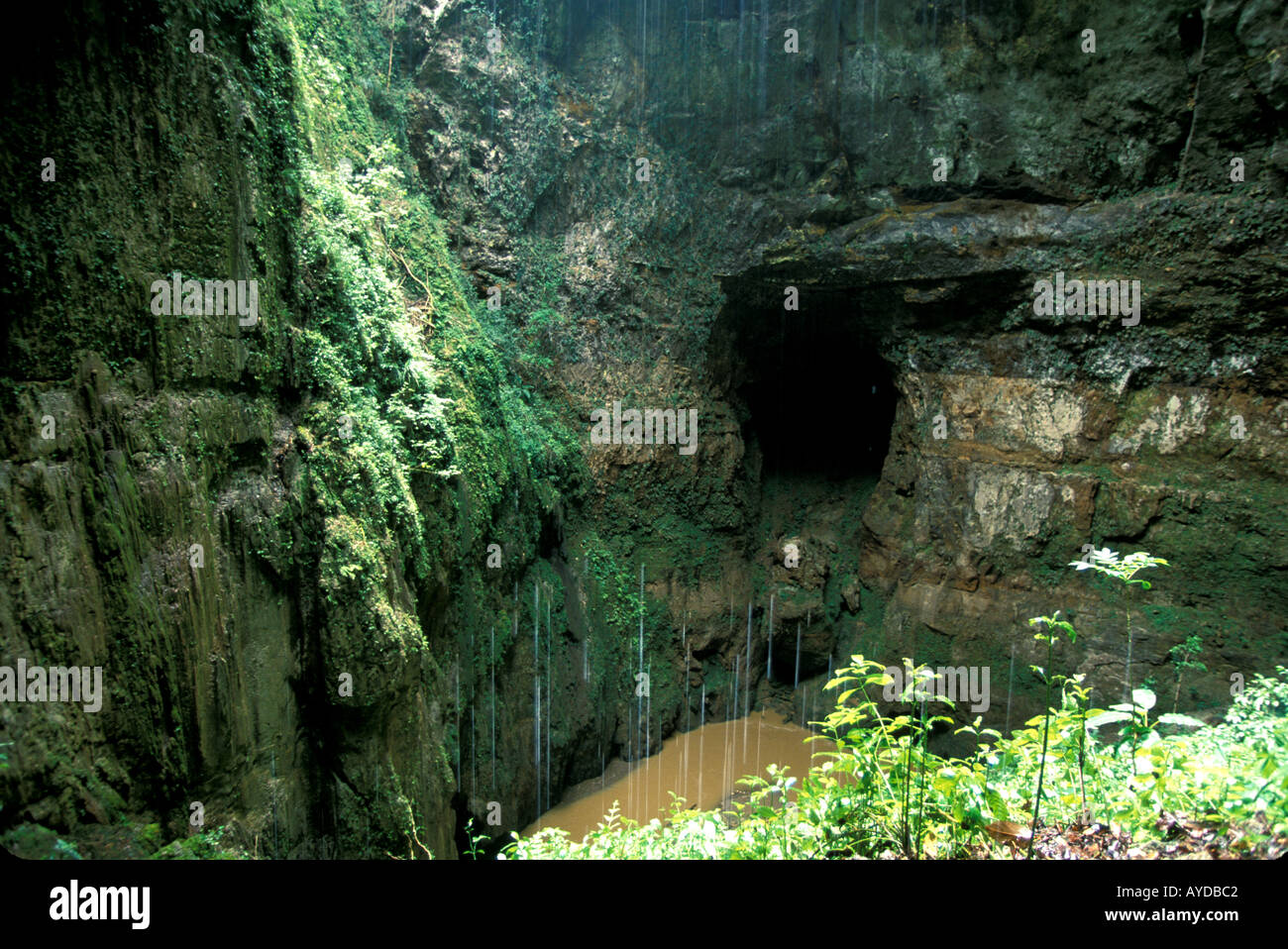 Puerto Rico Rio Camuy Cave Park tourist attraction Stock Photo