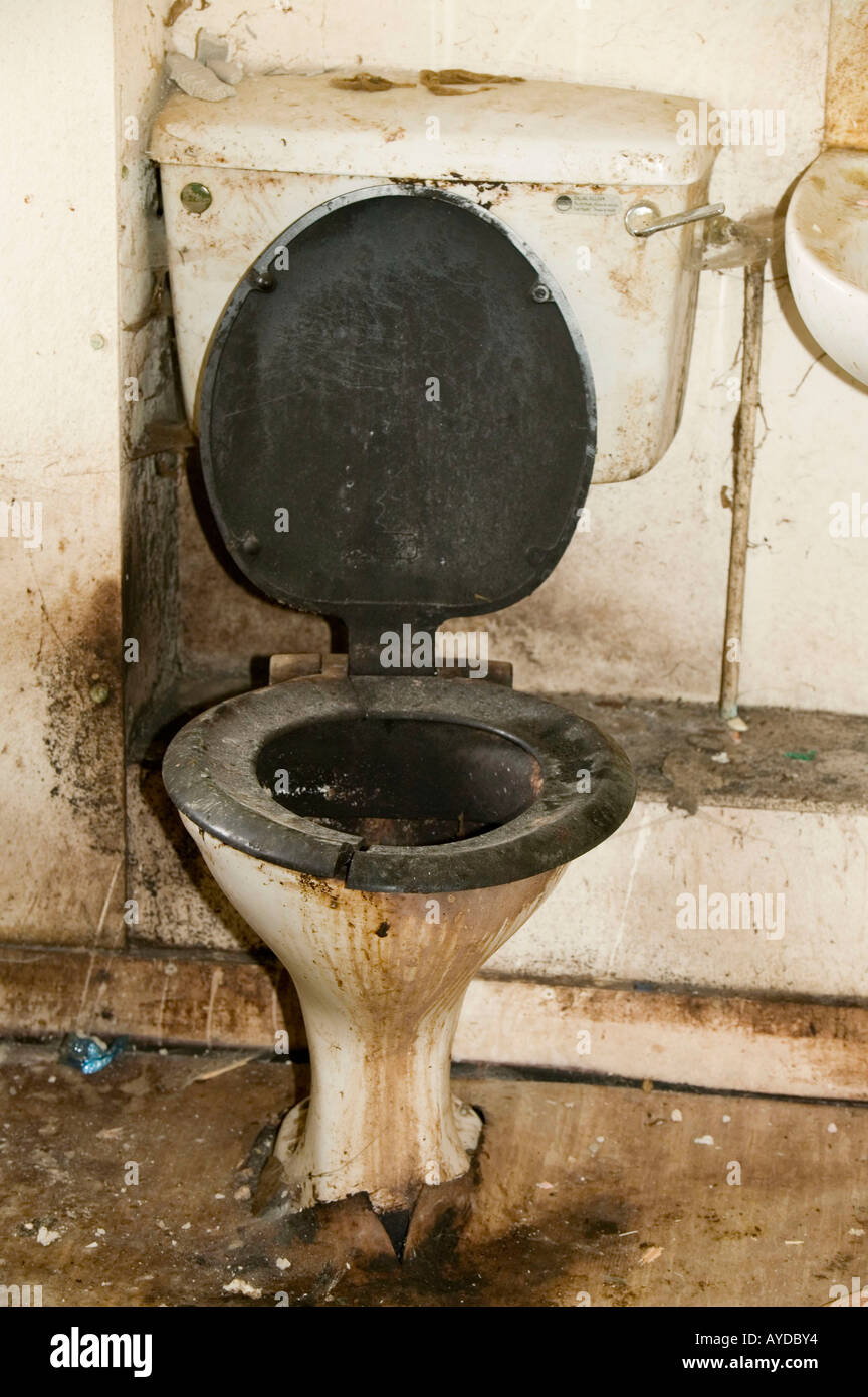 Disgusting Toilet High Resolution Stock Photography and Images - Alamy
