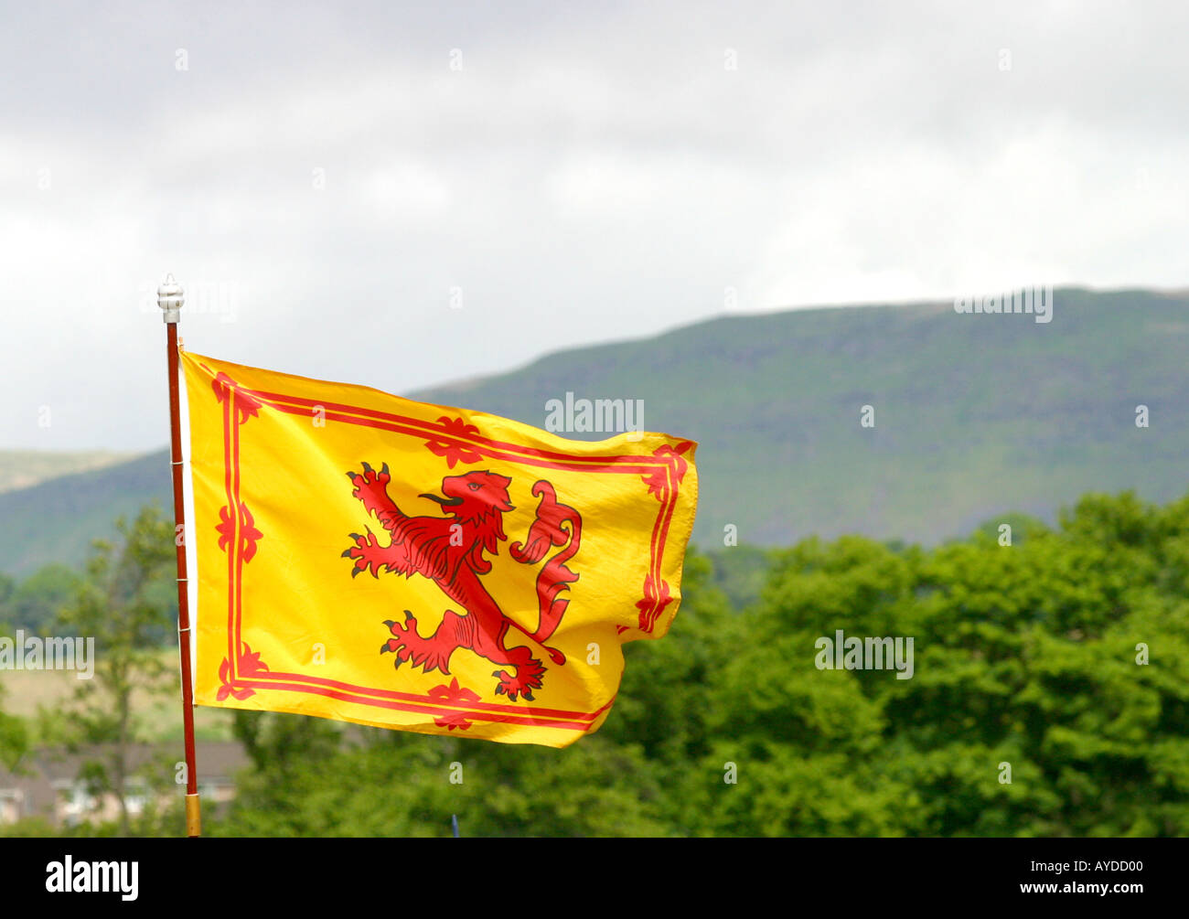 Scottish Lion Rampant flag in rural setting Stock Photo Alamy