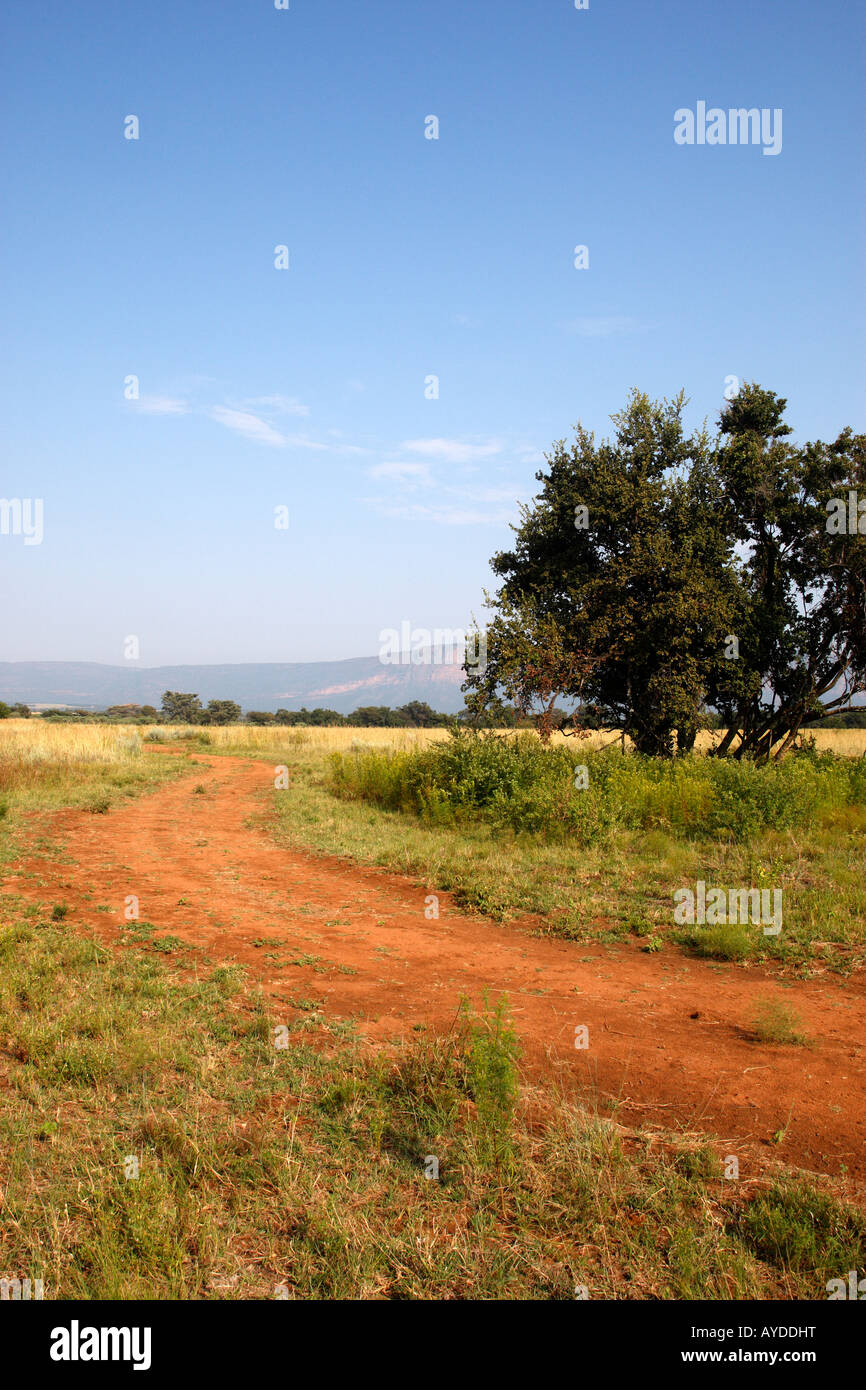 dirt track within entabeni game reserve welgevonden waterberg limpopo province south africa Stock Photo