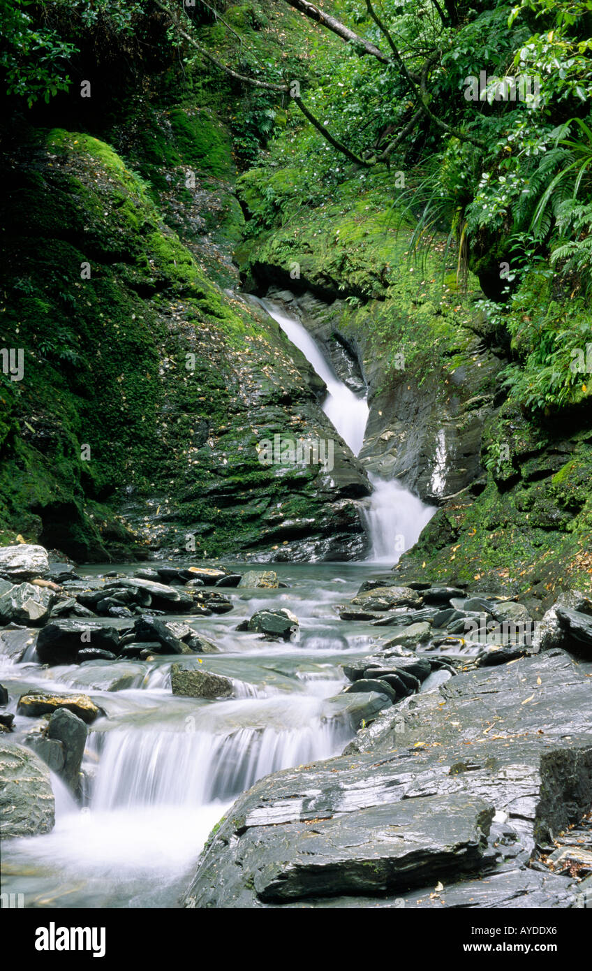 Forest stream cascade hi-res stock photography and images - Alamy