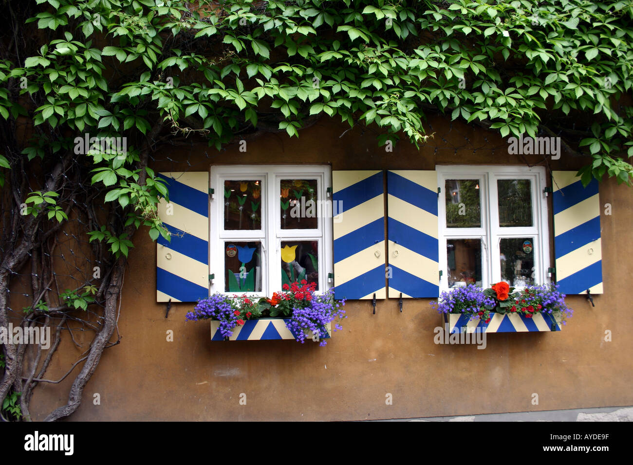 The Fuggerei oldest social settlement in the world Augsburg Bavaria Germany house embraced by vines Stock Photo
