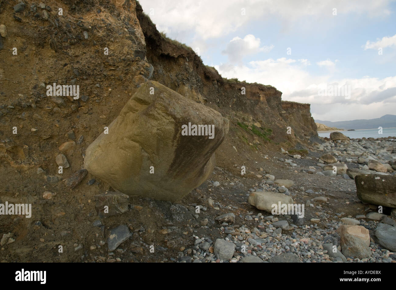 Erratic boulders embedded in glacial till exposed by coastal erosion on the cliff on Cricieth beach Gwynedd north wales Stock Photo