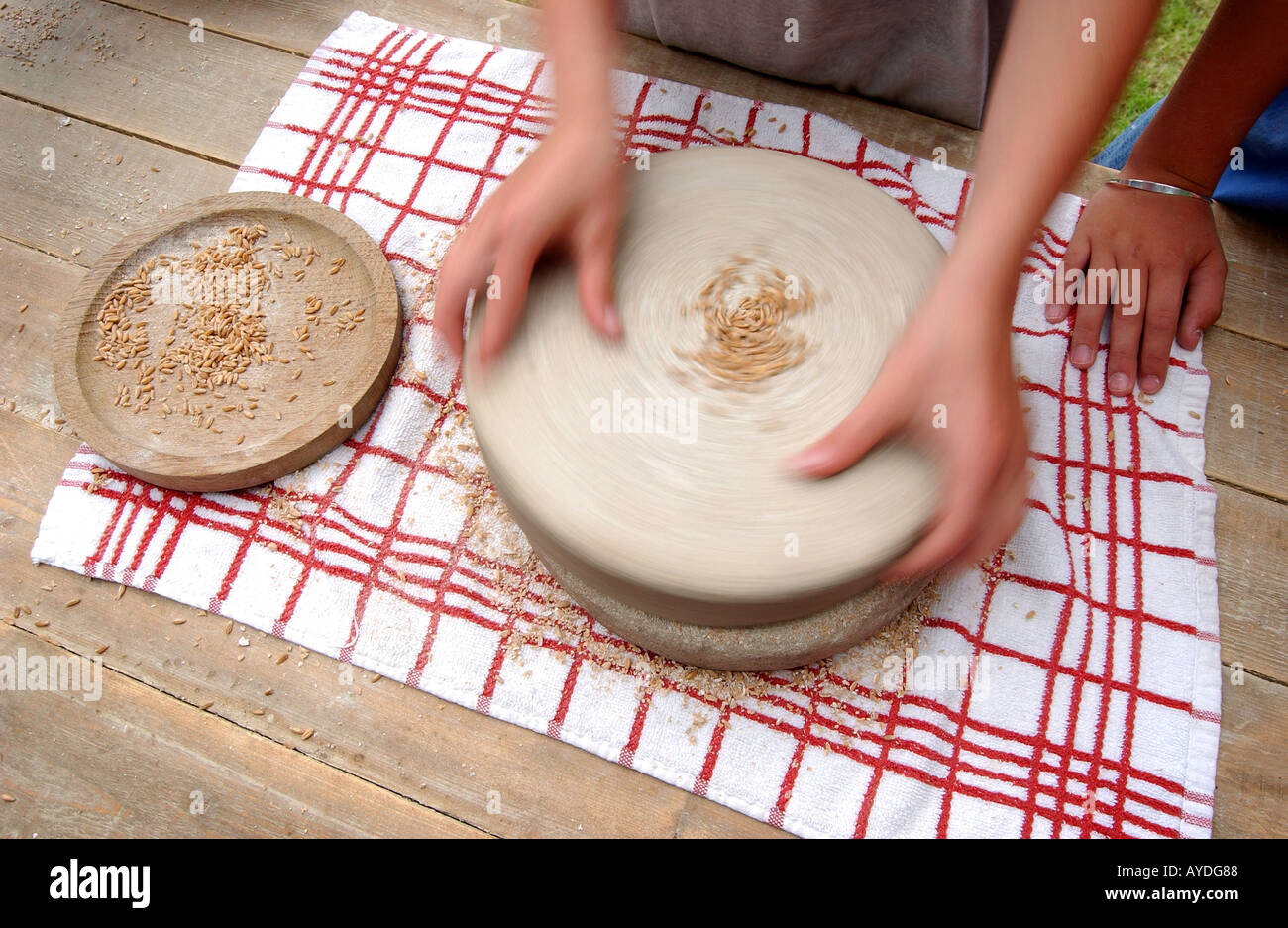 wheat being ground into flour on a roman history education day at Hooke