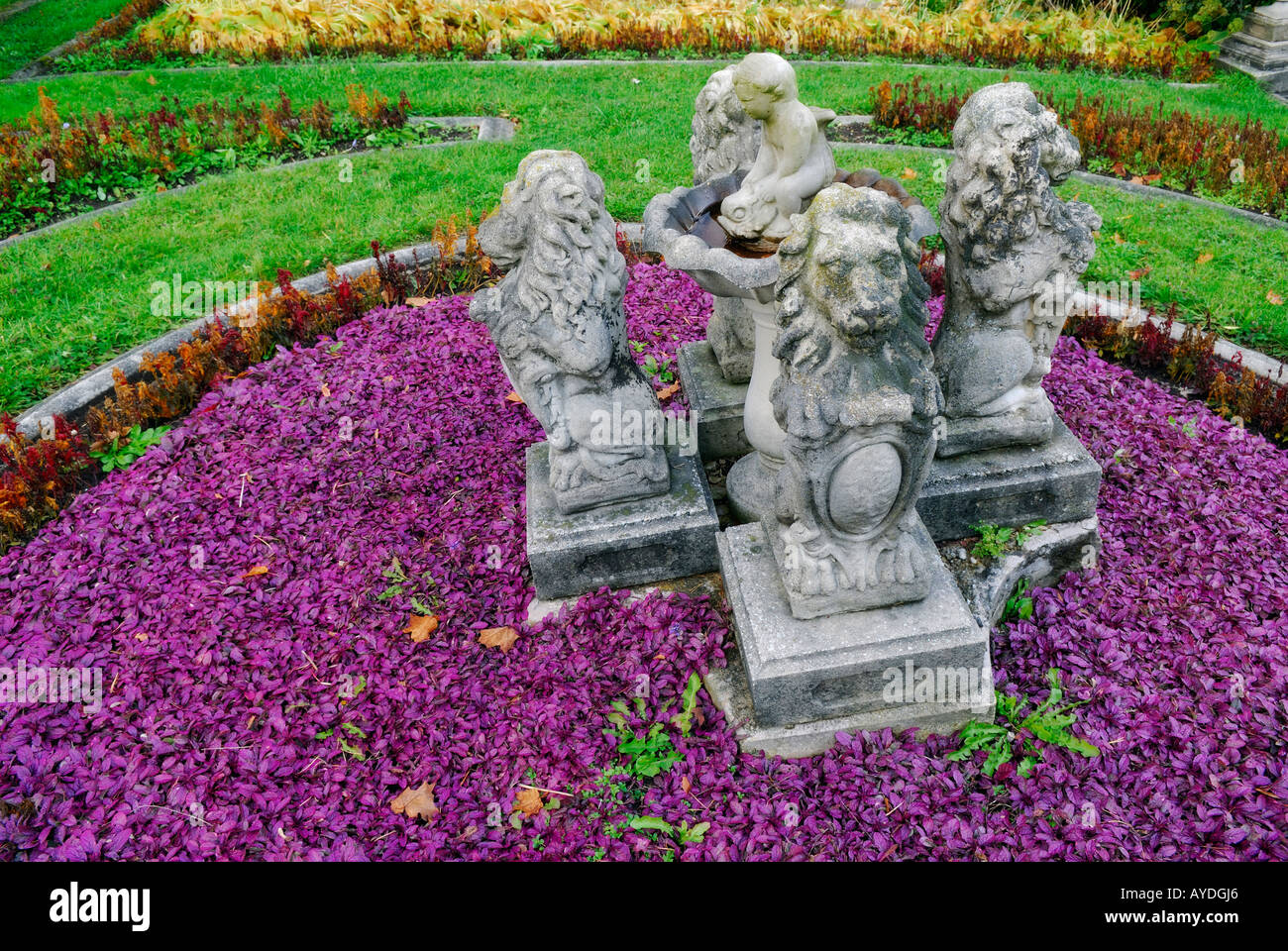 Purple ajuga plants in faded Fall garden with lion statues Stock Photo