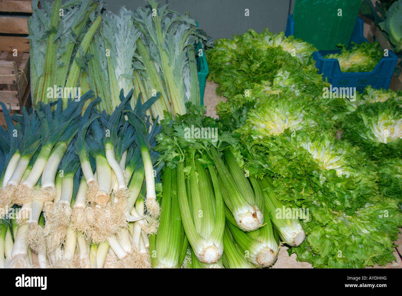 Leeks, Celery, Lettuce for sale Stock Photo Alamy