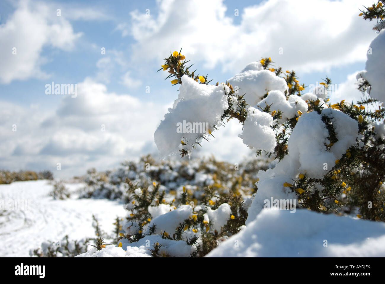 New hampshire winter snow scenic hi-res stock photography and images ...
