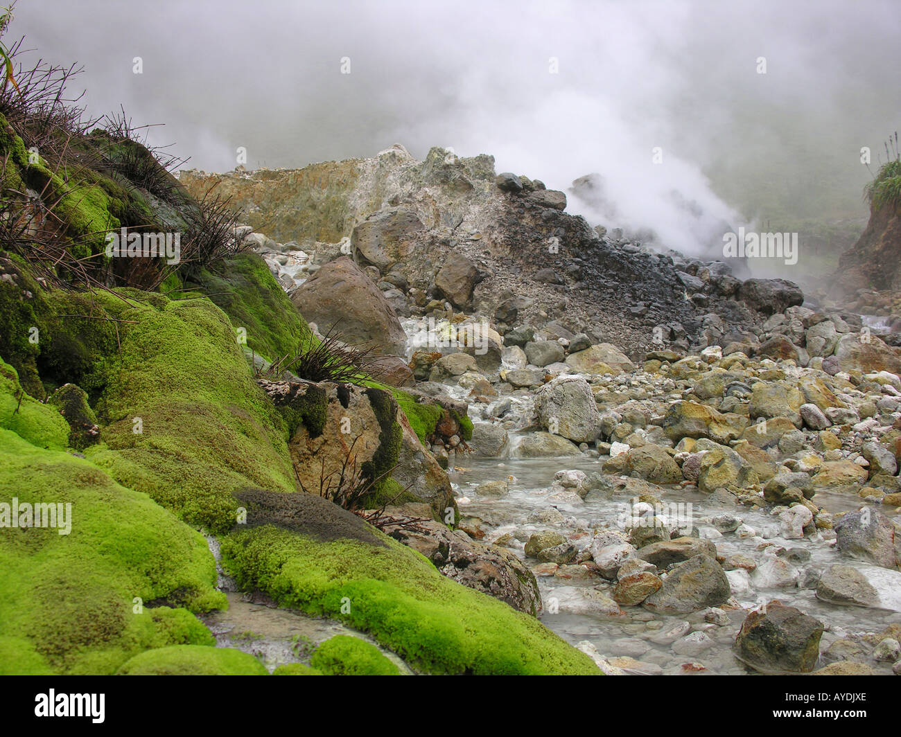 Sticky Wicket Cricket Club Antigua Stock Photo Alamy
