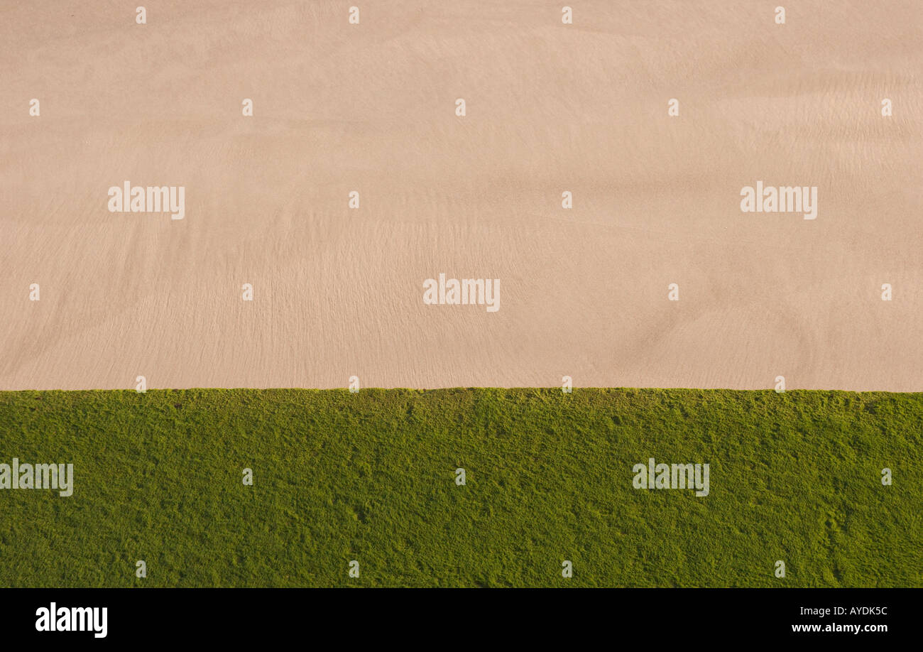 the tide is out at Frinton exposing the algae on the sea wall Stock Photo Alamy