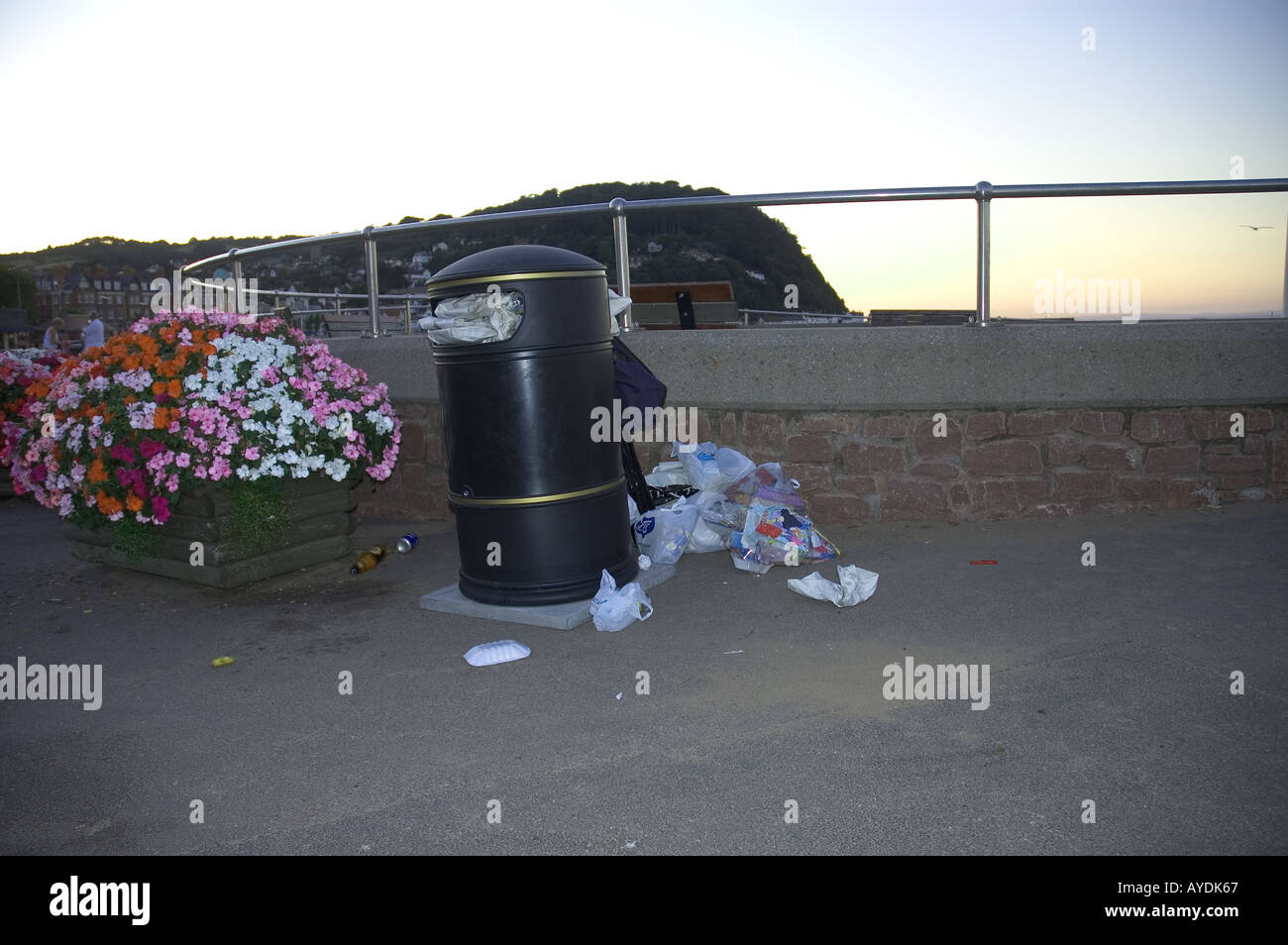 A litter bin on the seafront, Minehead, Somerset. UK Stock Photo Alamy