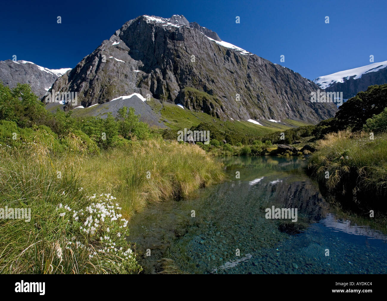 Mountain lake in Gertrude valley, Fiordland National Park South Island New Zealand with mountain koromiko in flower Stock Photo