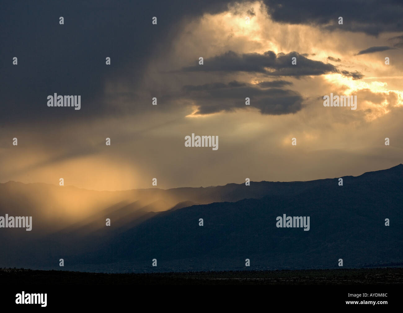 Sunset in sonoran desert hi-res stock photography and images - Alamy