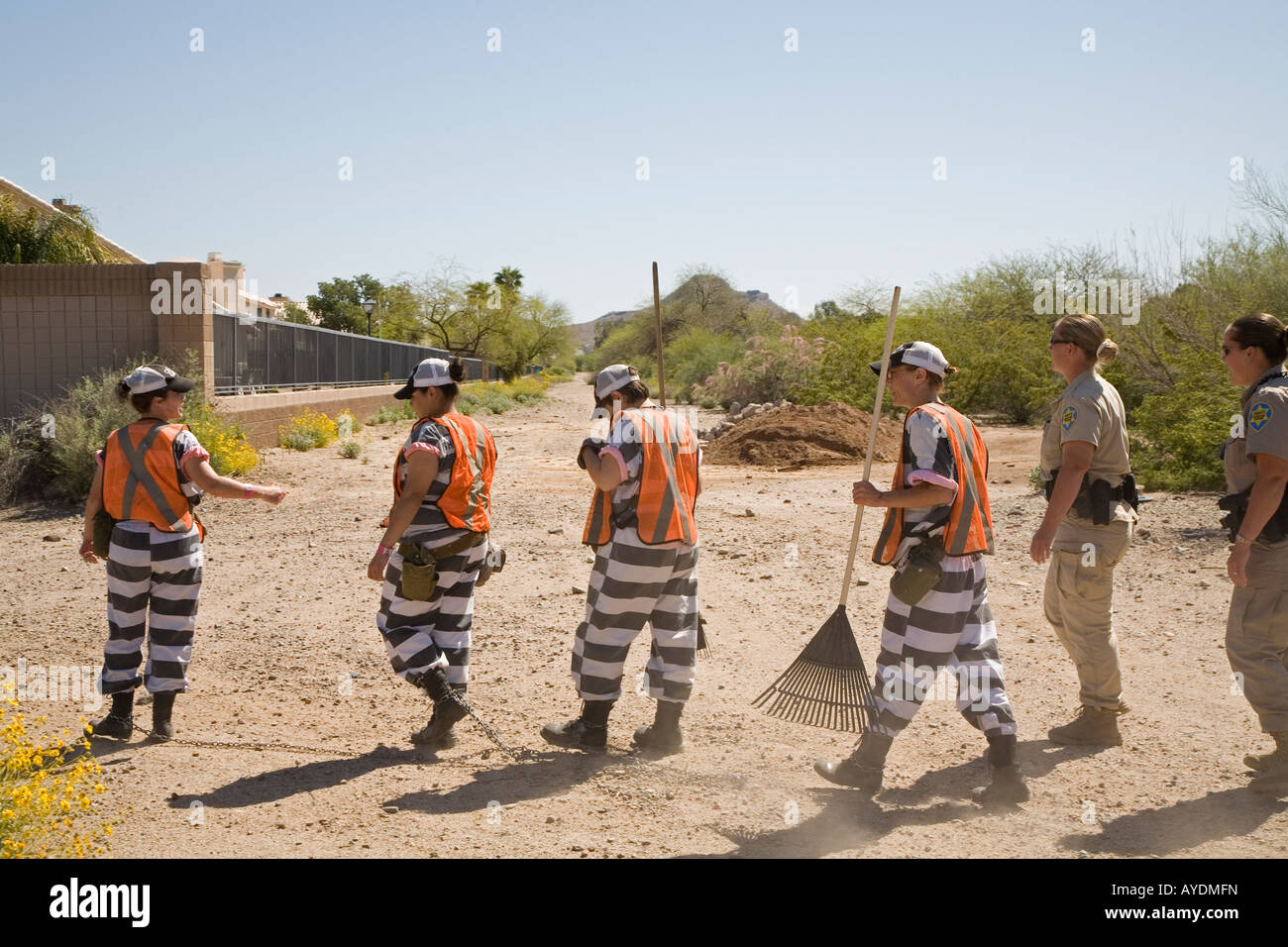 Phoenix Arizona A chain gang of woman inmates in Maricopa County jails is supervised by two female guards Stock Photo