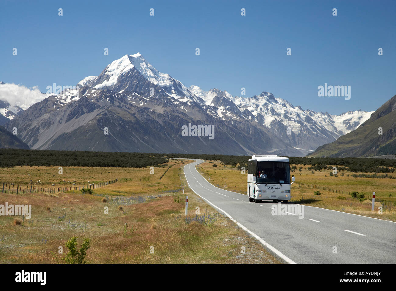 Tour Coach on Road to Aoraki Mount Cook Mackenzie Country South Stock Photo  - Alamy