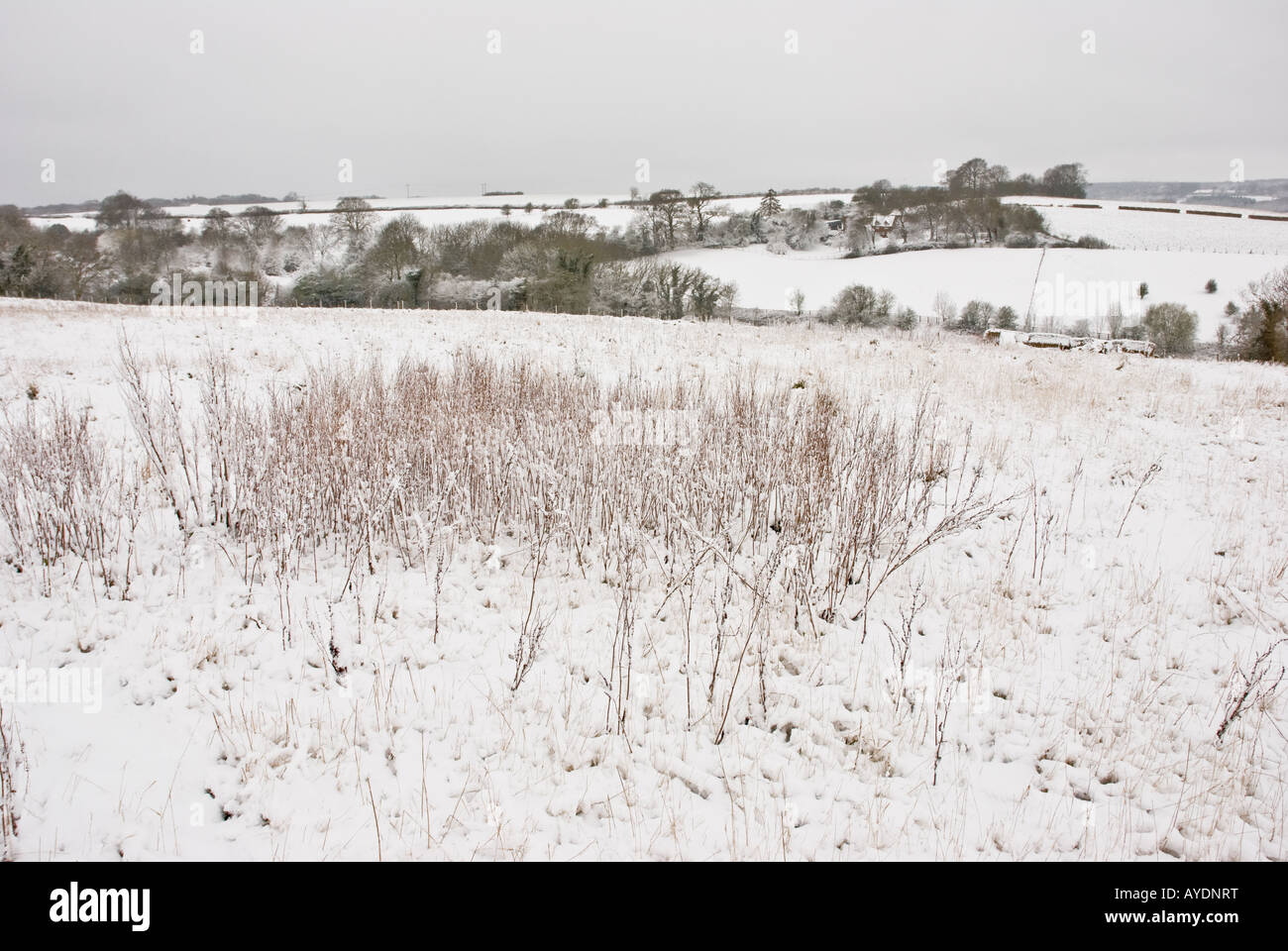 Snowfall in the Chiltern Hills, Buckinghamshire, England Stock Photo