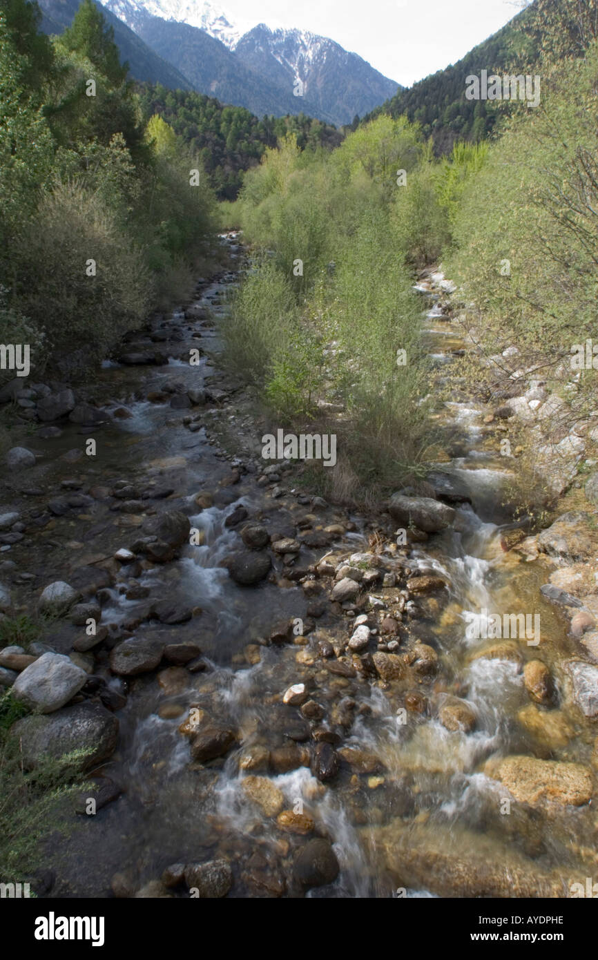 Plima river fed by glacial water Stock Photo