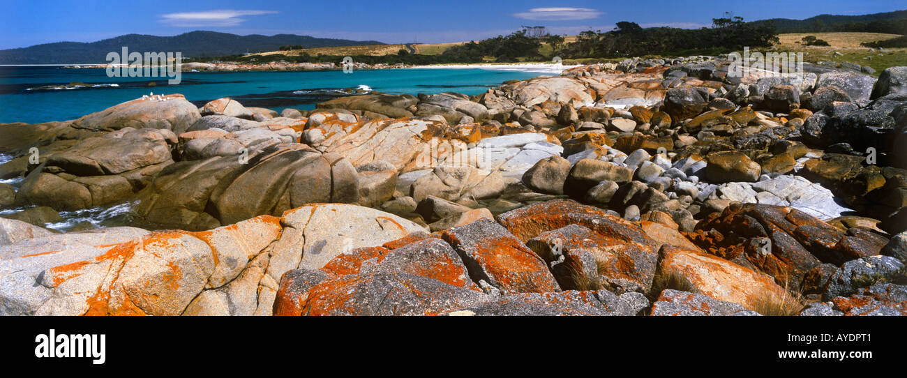 Bay of Fires, Tasmania, Australia Stock Photo