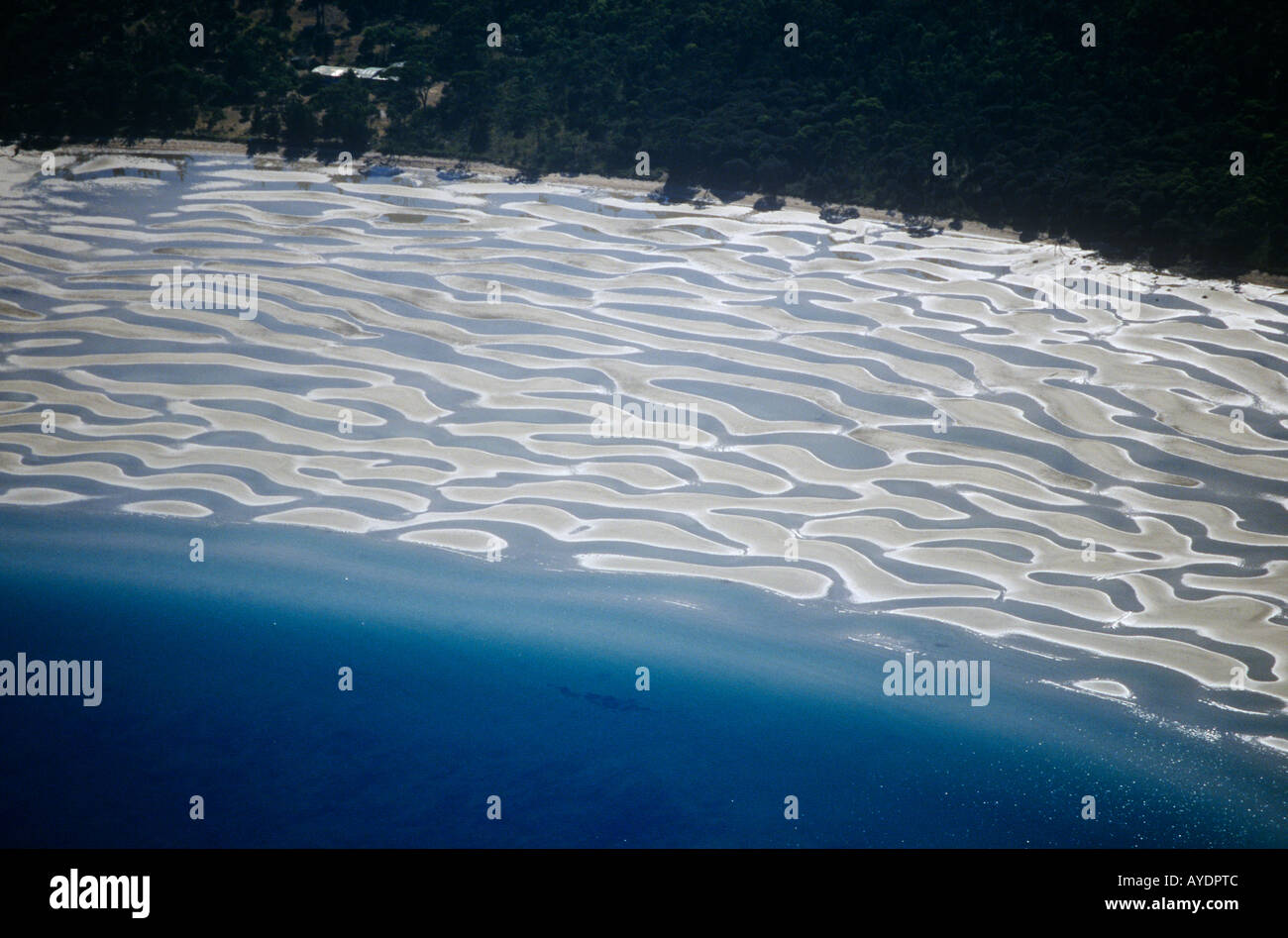 Low tide beach patterns Tasmania, Australia Stock Photo Alamy
