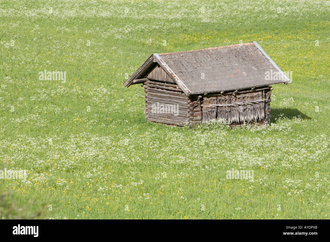 Traditional farming hut in the Austrian Alps Stock Photo