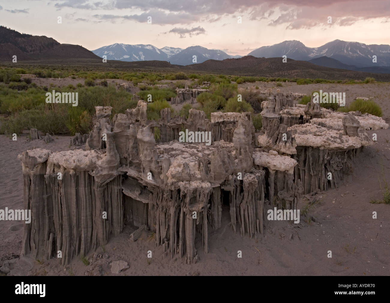 Strangely shaped sand tufa formations around Mono Lake above current water level Evening. California, USA Stock Photo