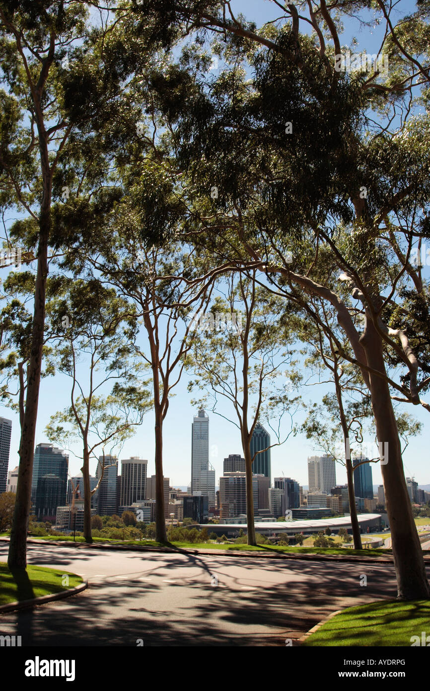 View of Perth city from Kings Park Stock Photo Alamy