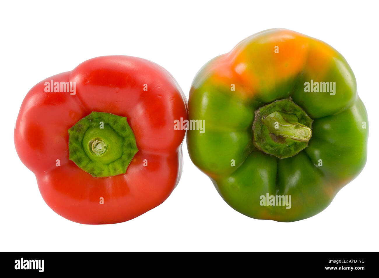 the red and green peppers isolated with clipping path Stock Photo - Alamy