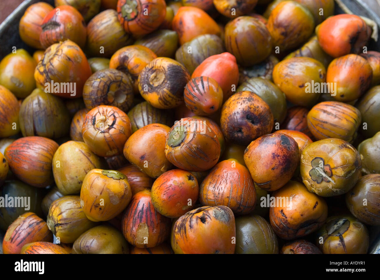 Bactris gasipaes K for sale at a road side market in Costa Rica, Central America Stock Photo