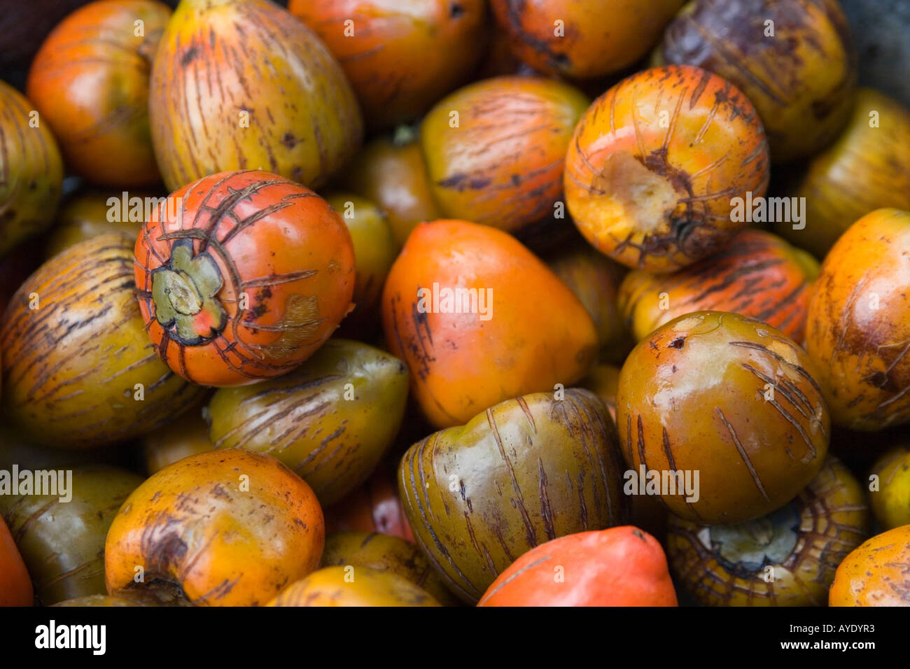 Bactris gasipaes K for sale at a road side market in Alajuela, Costa Rica, Central America Stock Photo