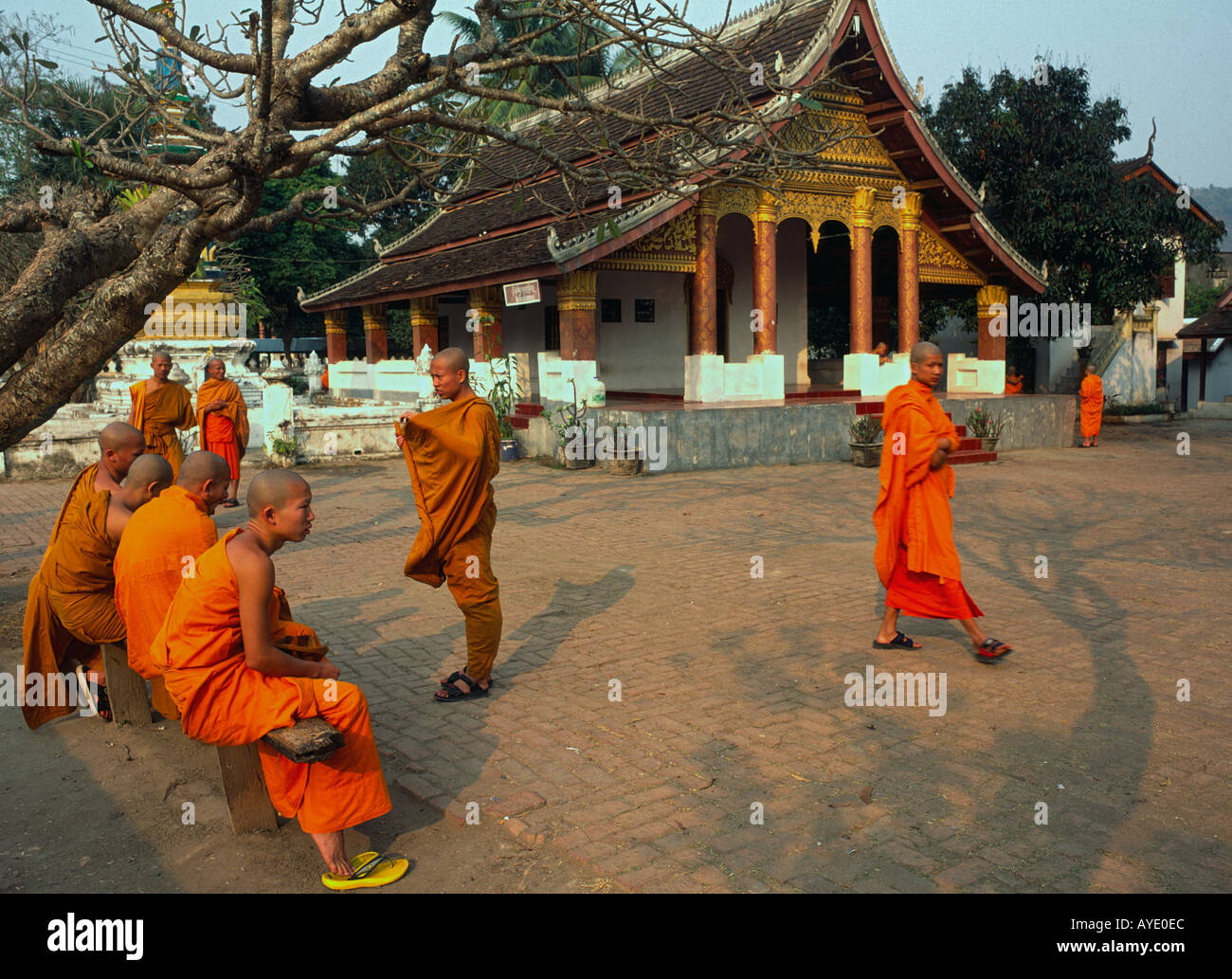 Laos Luang Prabang temple Wat Saen young monks seating in courtyard with temple in bkgd Stock Photo