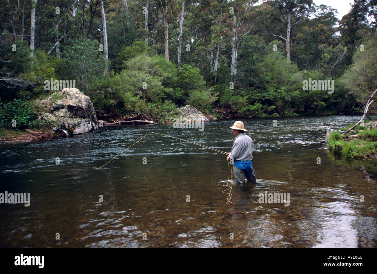 Fly fishing near homestead Upper Murray River NE Victoria Australia