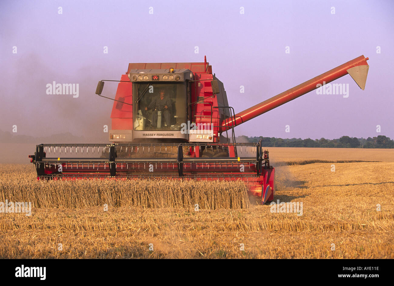 Massey Ferguson Combine Harvester Near Upper Heyford Oxfordshire Stock Photo