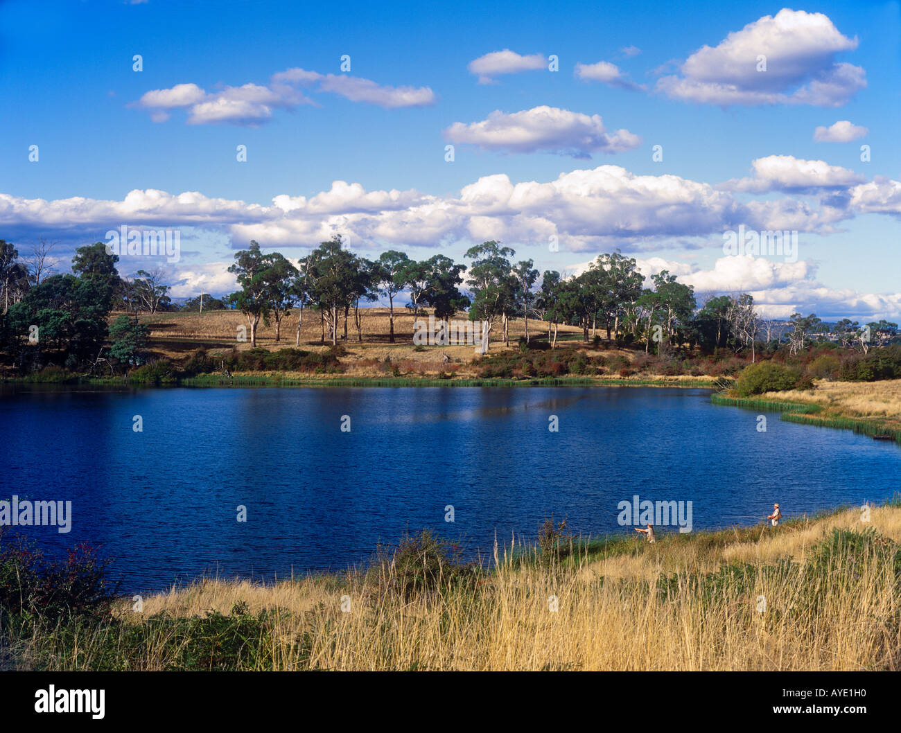 Fly fishing Macquarie River near Cressy Norfolk Plains district