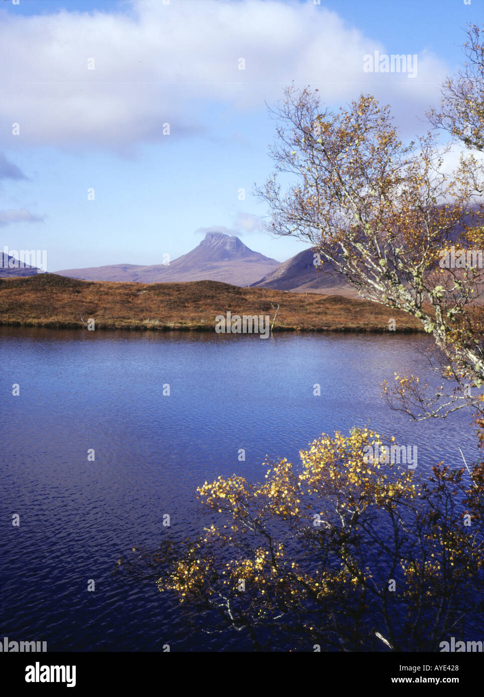 dh  STAC POLLAIDH ROSS CROMARTY Scottish lochside autumnal golden brown leaved trees mountains loch highlands mountain autumn lochs northern scotland Stock Photo