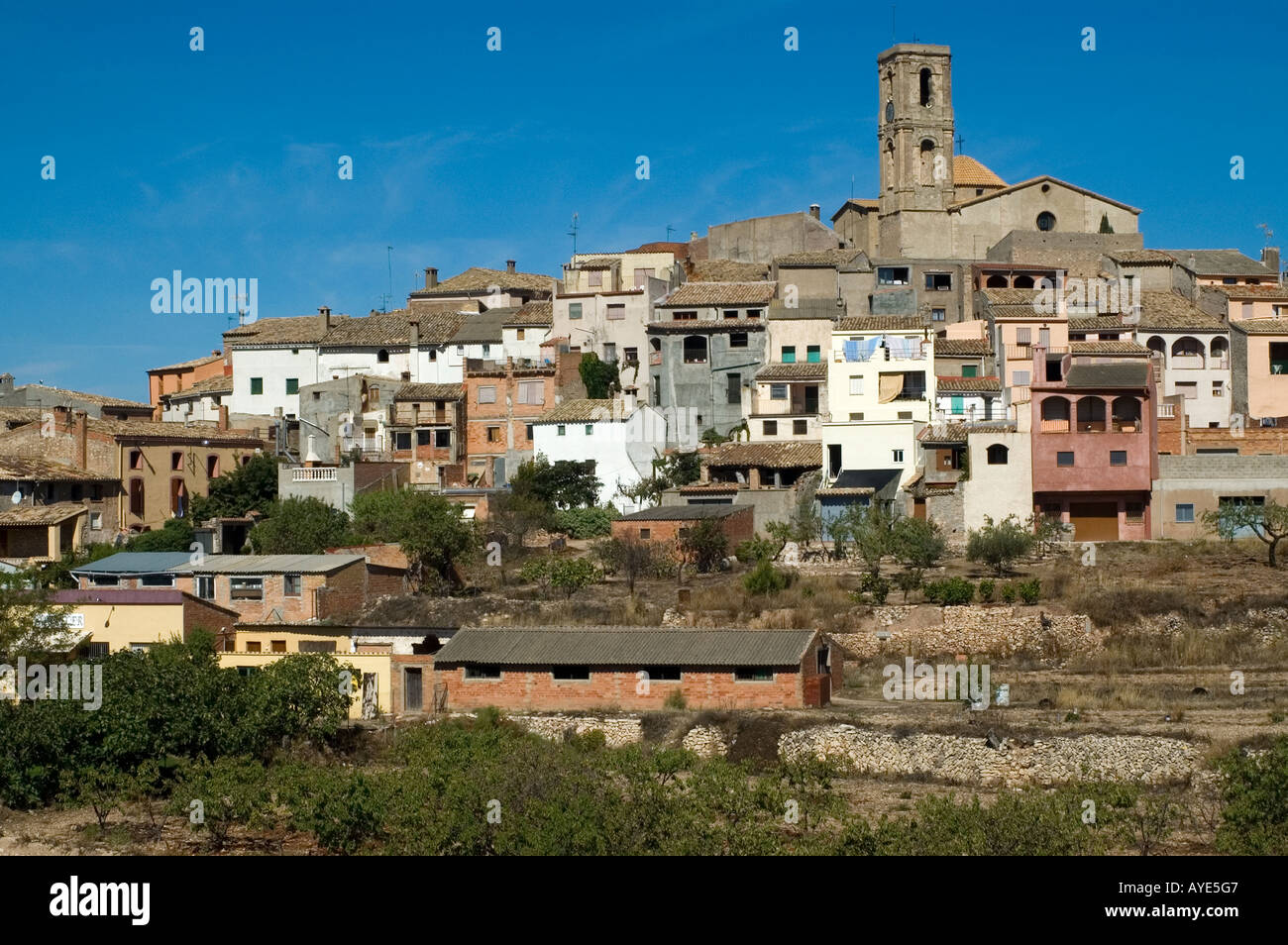 LA FIGUERA, PRIORAT REGION, PROVINCIA DE TARRAGONA, CATALONIA,SPAIN
