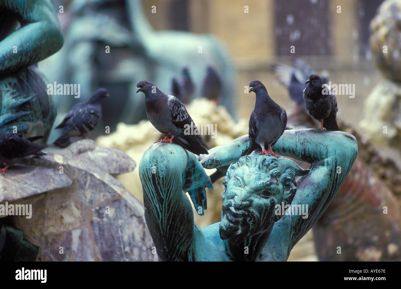 Piazza del Signoria statue pigeons Florence Tuscany Italy Stock Photo