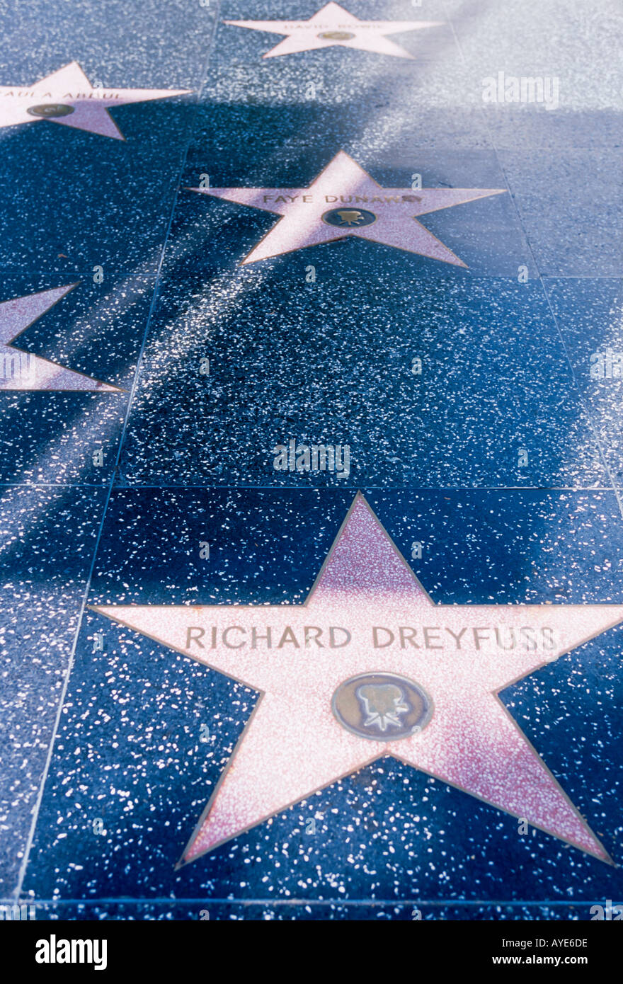Stars on Hollywood Walk of Fame Hollywood Boulevard Los Angeles ...
