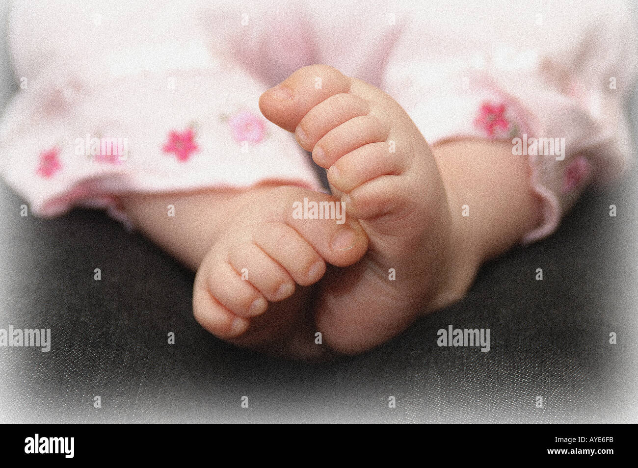 Feet of a baby girl Stock Photo - Alamy