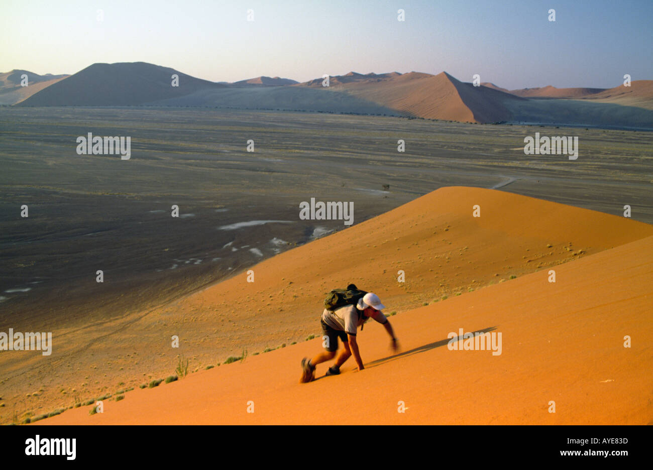 Tourist climbing Dune 45 Sossusvlei National Park Namibia Southern ...