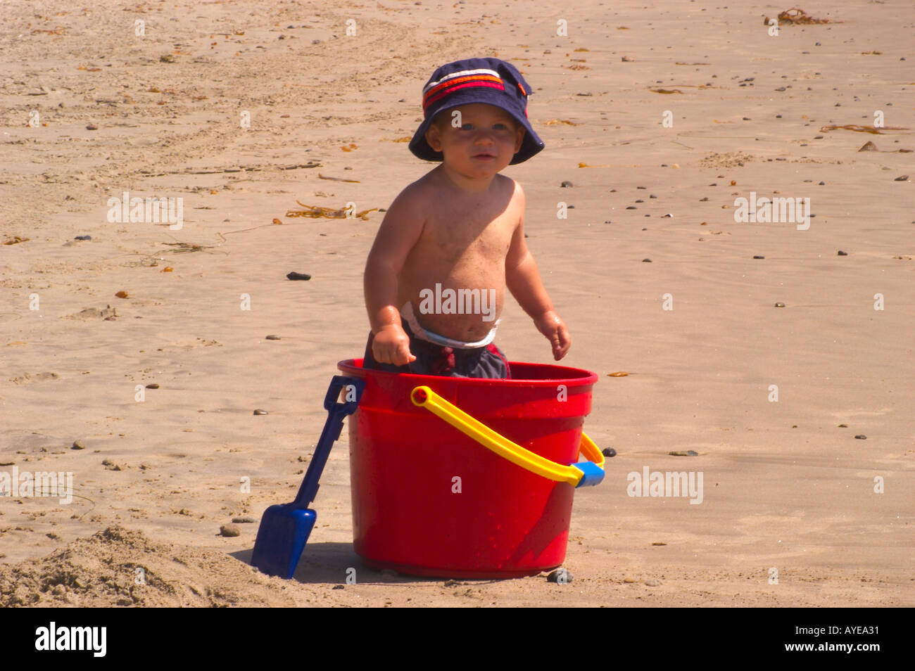 bucket boy at beach Stock Photo Alamy