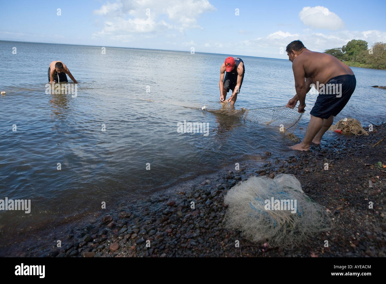 Netting fish from Lake Cocibolca Ometepe Island Nicaragua Stock Photo Alamy