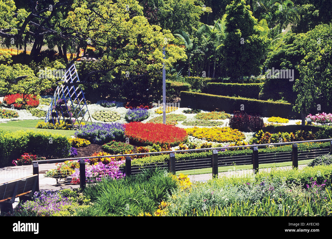 Colourful flower beds at Roma Park Gardens Brisbane Stock Photo - Alamy