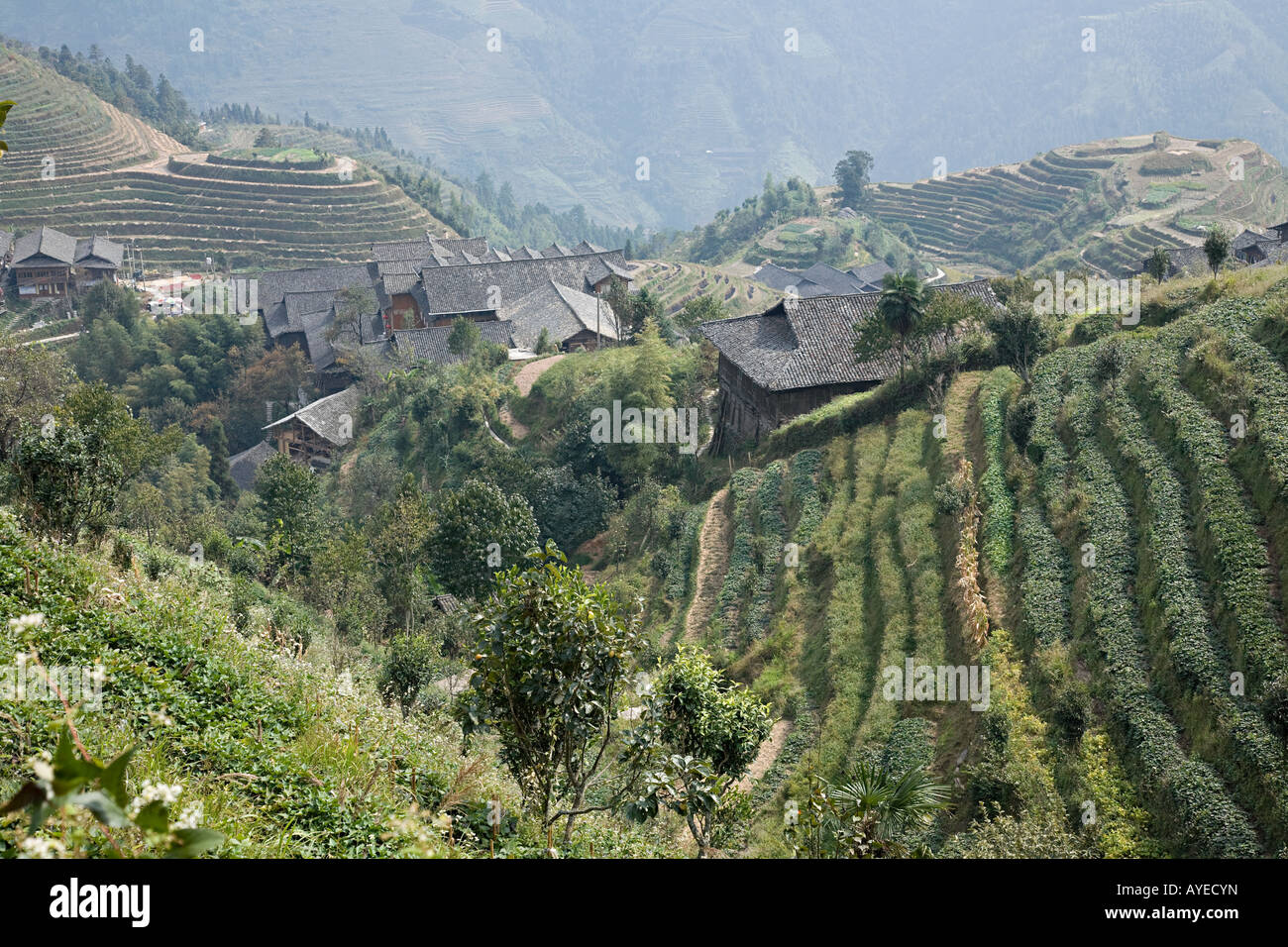 Chinese Rice Terraces High Resolution Stock Photography and Images - Alamy