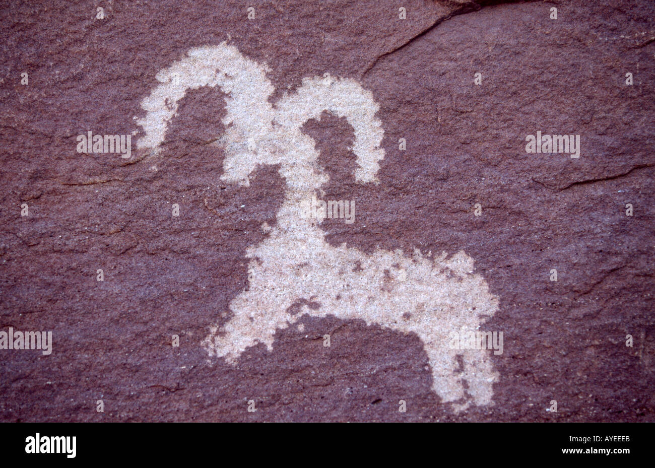 Petroglyph of a bighorn sheep left by Ute Indians, Arches National Park, Utah, USA Stock Photo