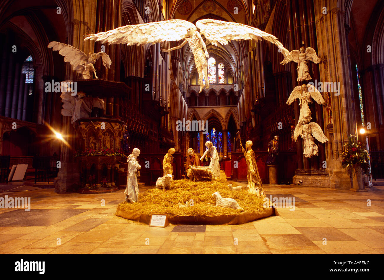 Salisbury Wiltshire England Salisbury Cathedral Crib Designed and Stock