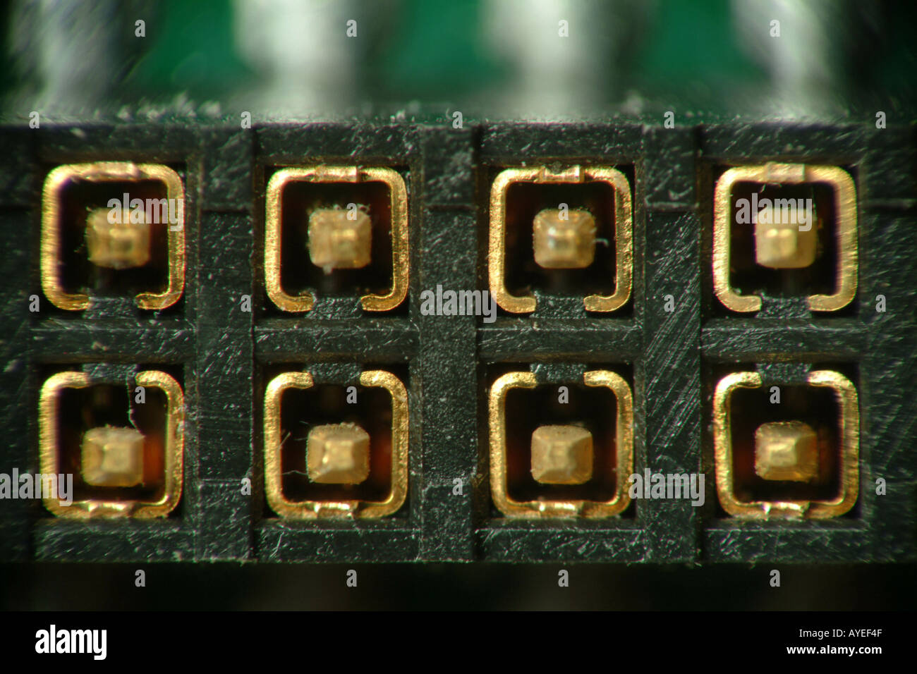 Gold connector pins hires stock photography and images Alamy