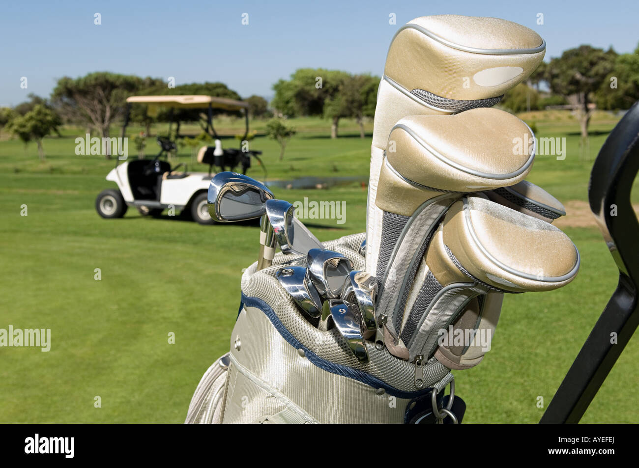 Golf clubs in a golf bag Stock Photo Alamy