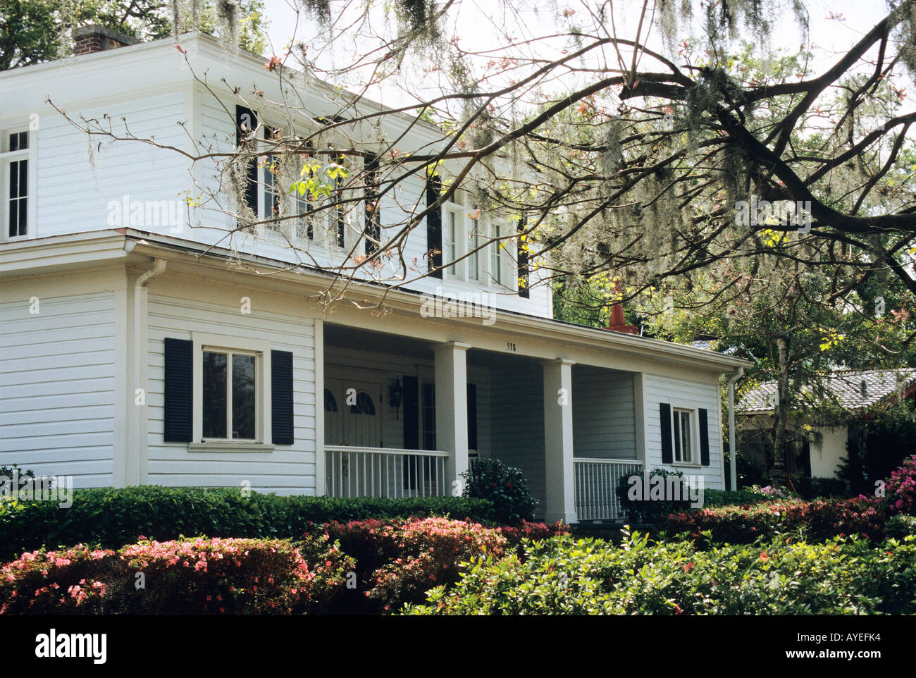 Traditional houses in Thornton Park Orlando Stock Photo Alamy
