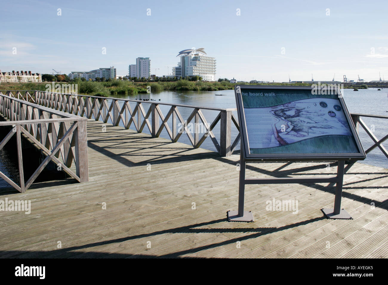 The boardwalk at Cardiff Bay Nature Reserve, Cardiff, South